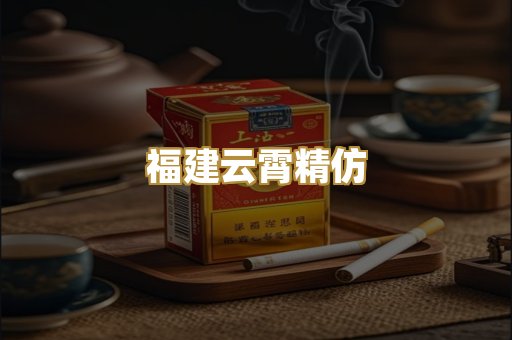 福建云霄精仿